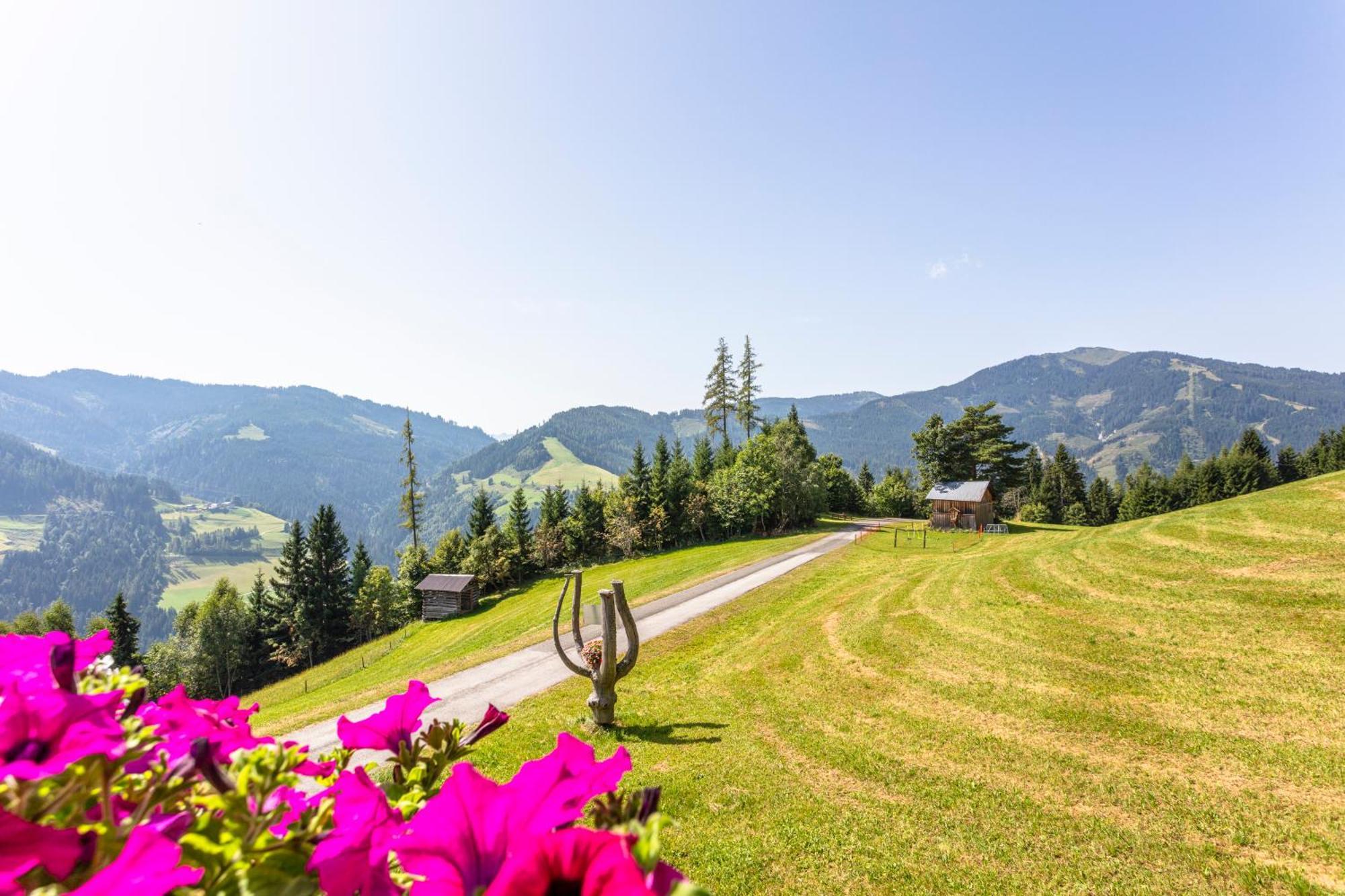 Landhaus Hochkoenig Mühlbach am Hochkönig Zewnętrze zdjęcie