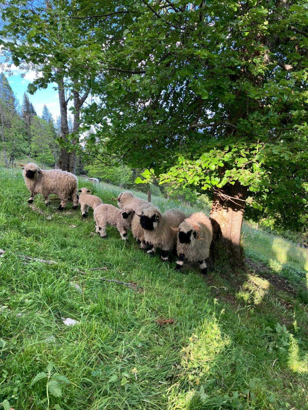 Landhaus Hochkoenig Mühlbach am Hochkönig Zewnętrze zdjęcie